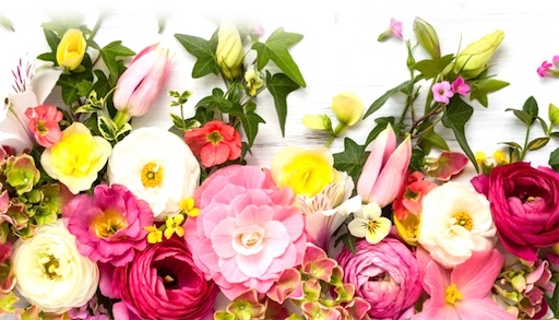 f:id:mamemame1965:20191217215640j:image