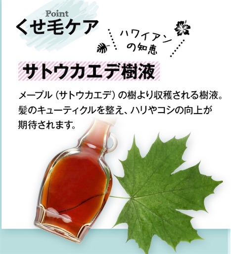 f:id:mamemame1965:20200225112218j:image f:id:mamemame1965:20200225112218j:image