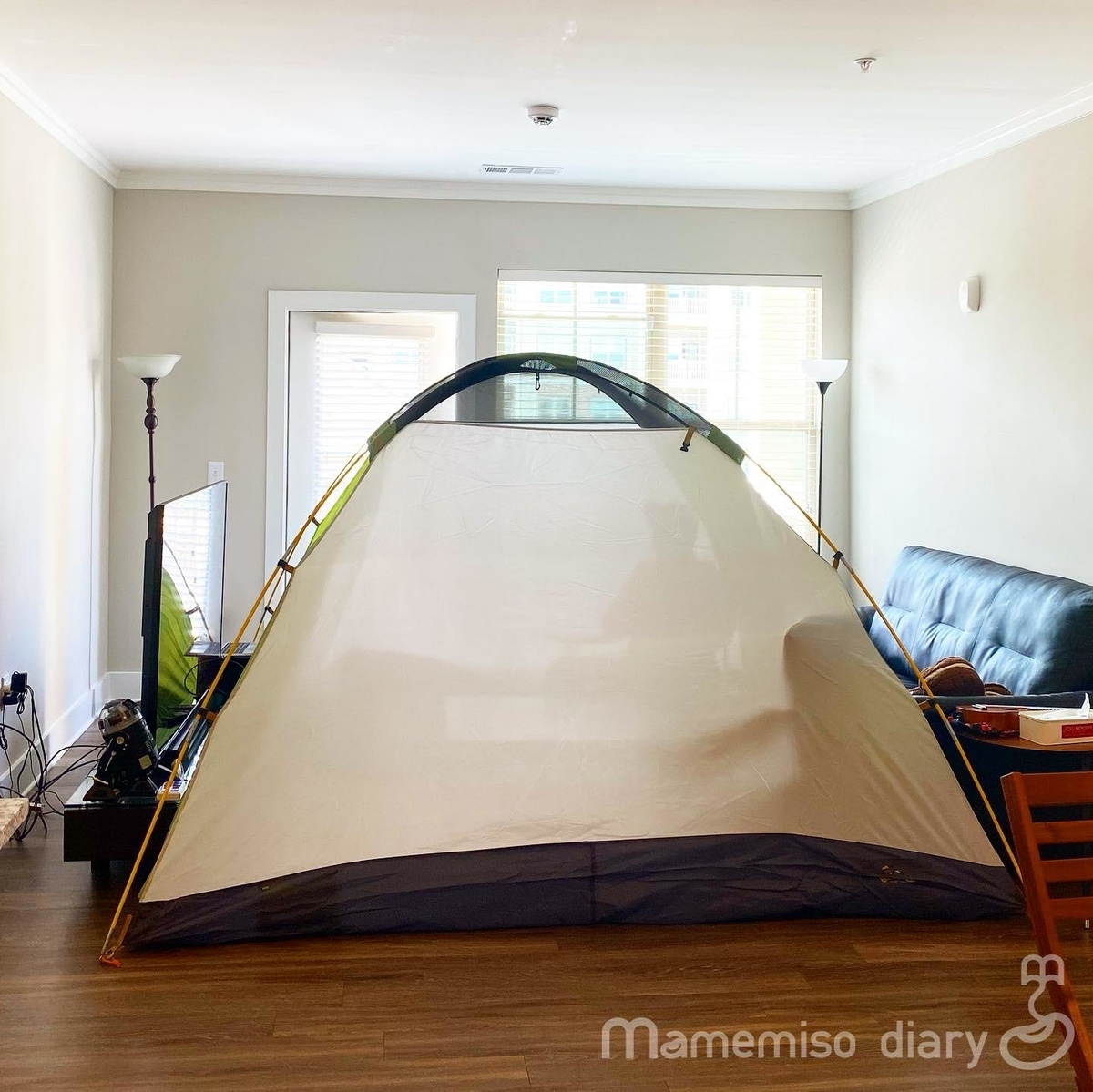 f:id:mamemisodiary:20200531122144j:plain