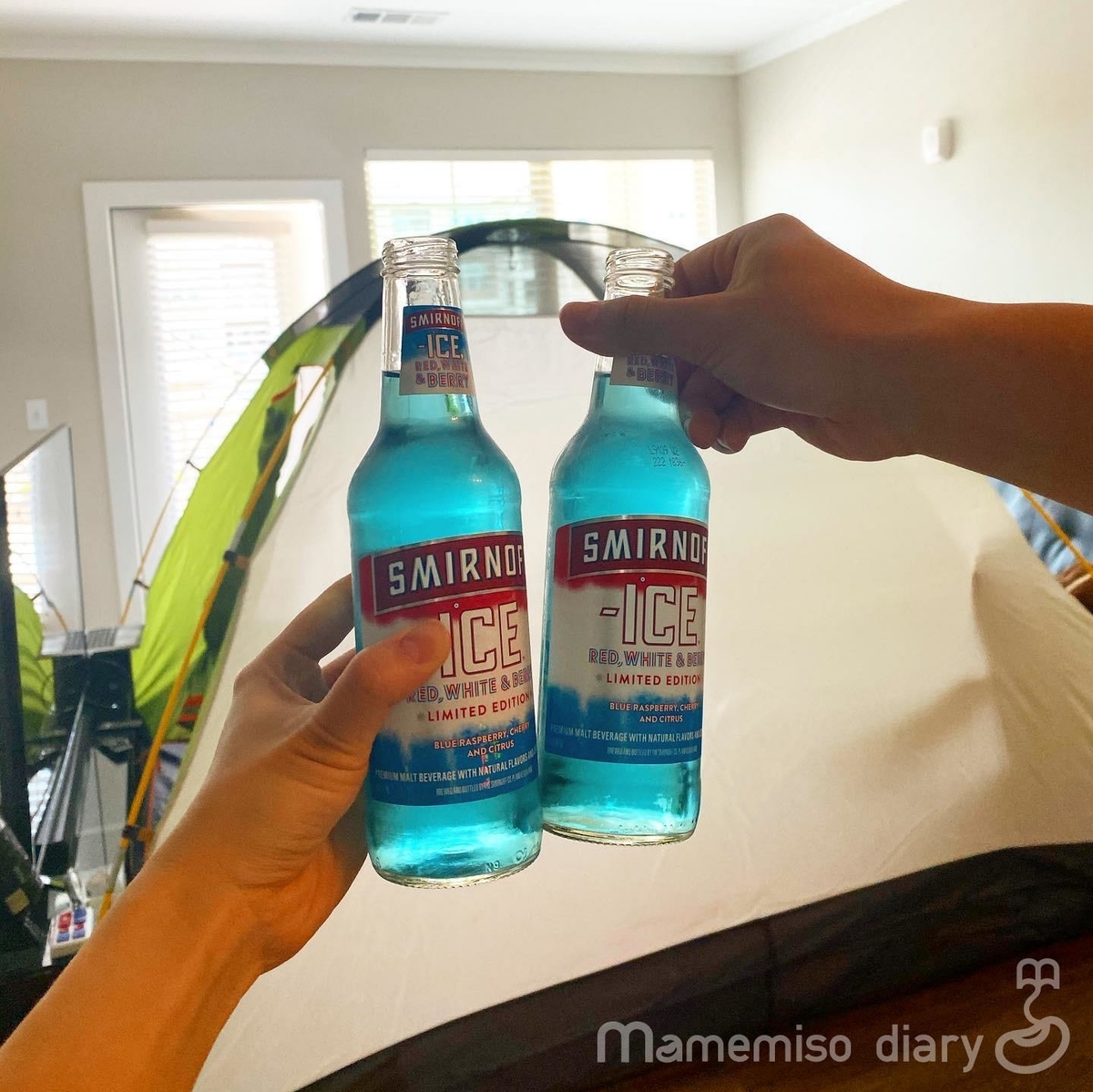 f:id:mamemisodiary:20200531122218j:plain