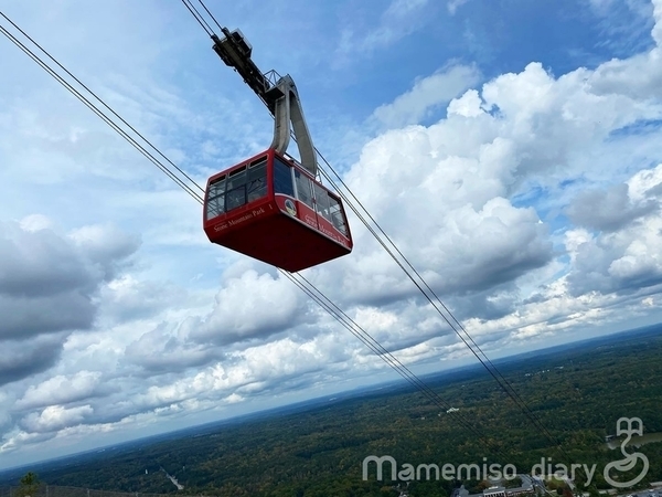 世界最大級の岩壁レリーフ 「ストーンマウンテン」Stone Mountain Park