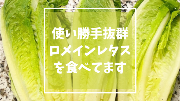 ロメインレタス（Romaine lettuce）の特徴と食べ方 | アメリカ食卓で大