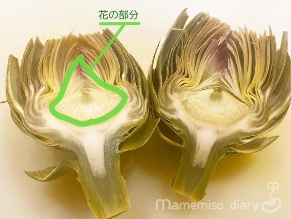 茹でた後の断面