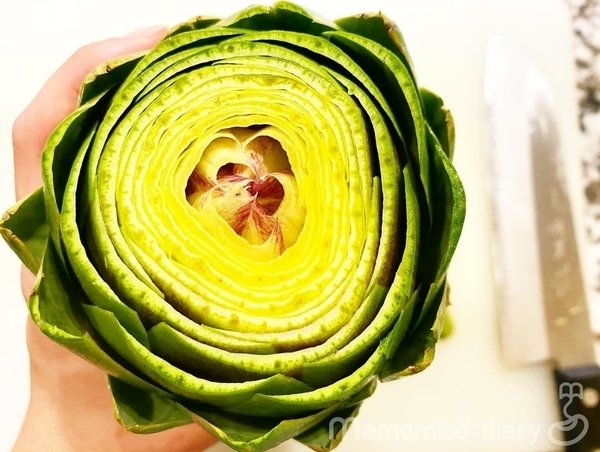 断面の様子