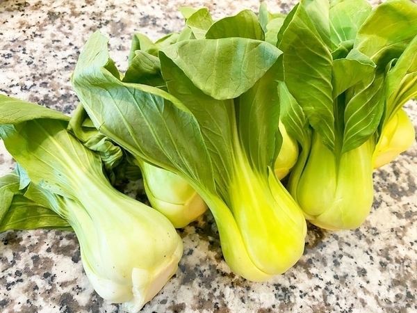 ミニチンゲン菜の写真