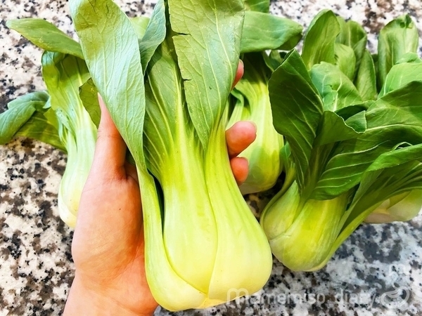 手乗りミニチンゲン菜