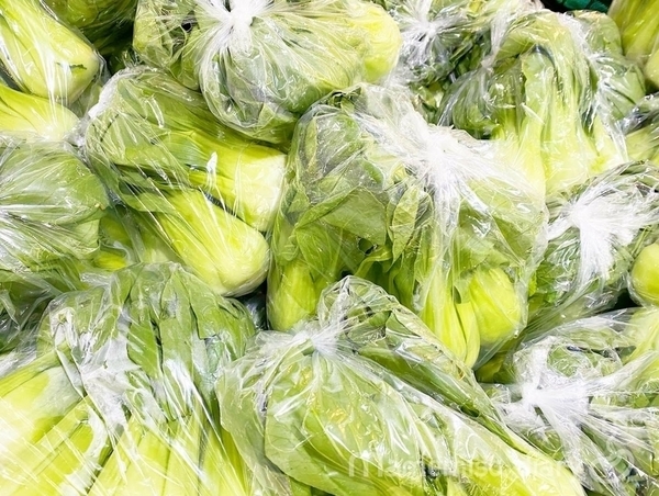 大量のミニチンゲン菜