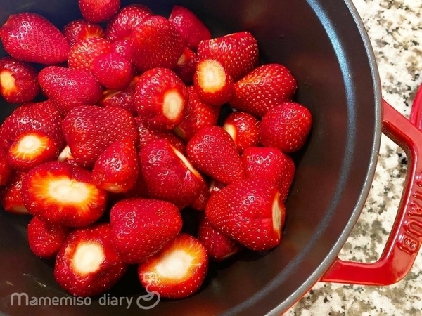 アメリカのいちご狩りで大量収穫 | ジョージア州観光 Strawberry