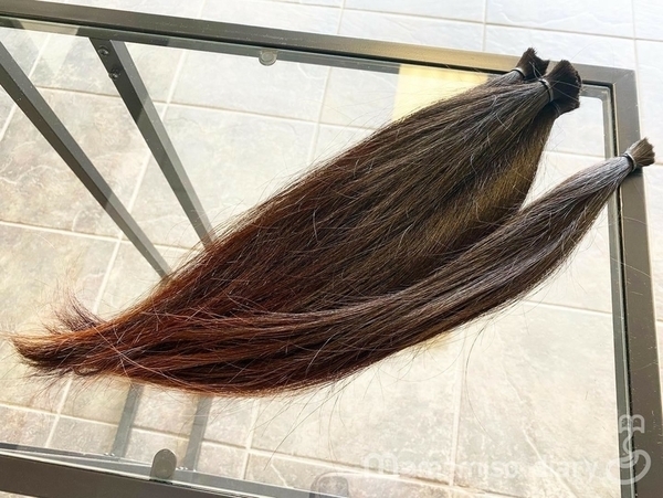 アメリカでヘアドネーションをする方法 長く伸びた髪の毛を寄付してみよう Mamemiso Diary
