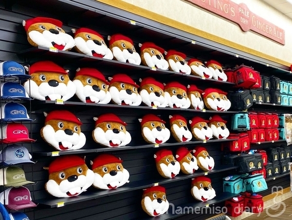 Buc-ee's（バッキーズ）愛される巨大ガソスタ＆コンビニ