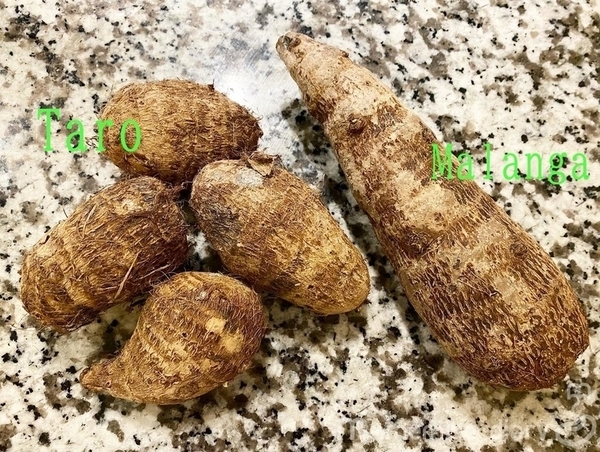 里芋は英語で Taro 特徴と食べ方 アメリカで野菜を美味しく 写真あり Mamemiso Diary