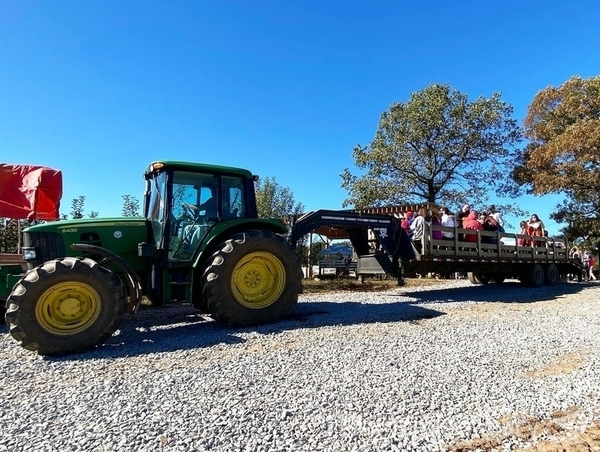 ⭐アメリカンカントリー雑貨♥️おめかし ෆまん丸りんごෆ ❁＆荷車(レース付き) ⭐アメリカンカントリー雑貨♥️おめかし ෆまん丸りんごෆ