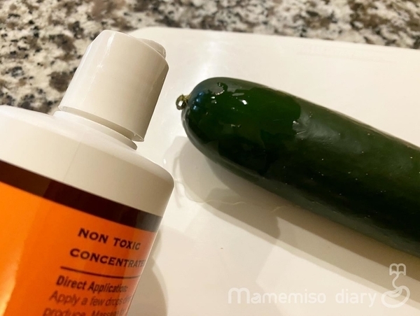 洗剤をかけたキュウリ