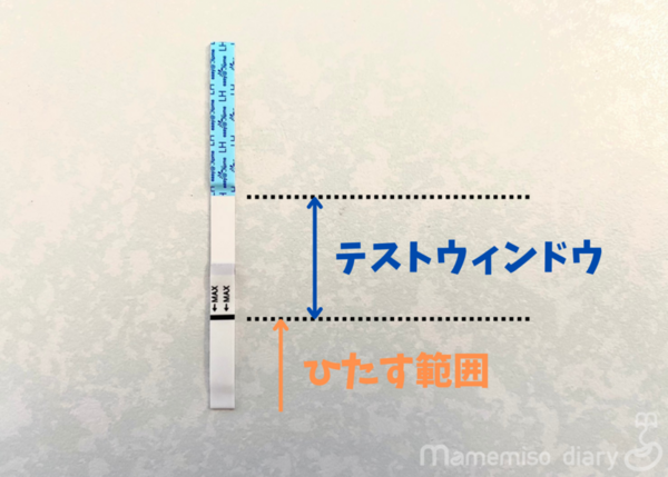 試験紙の説明