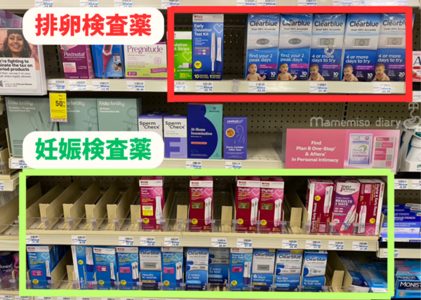 お店で販売されている様子