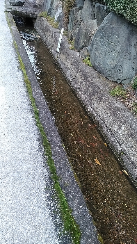 f:id:mamemuchi:20190127160627j:plain