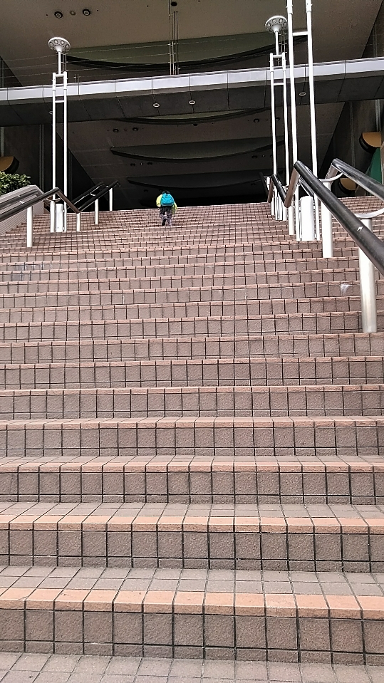 f:id:mamemuchi:20190210143627j:plain