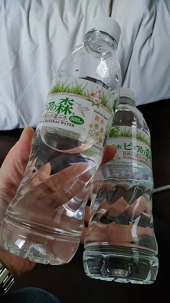 f:id:mamemuchi:20190211162802j:plain