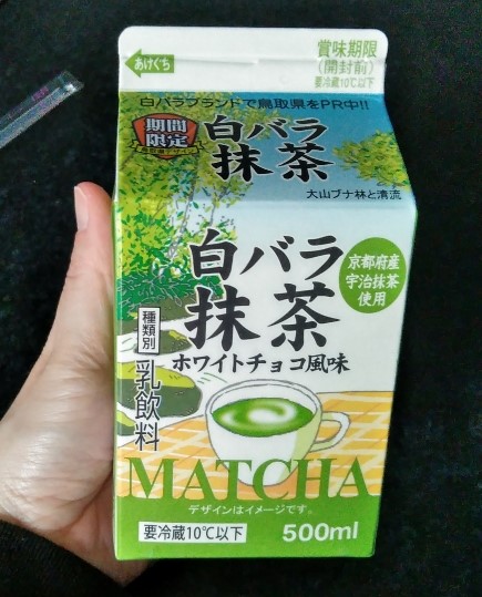 f:id:mamemuchi:20190501145234j:plain