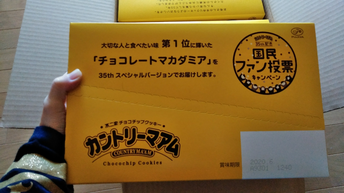 f:id:mamemuchi:20191117102559j:plain