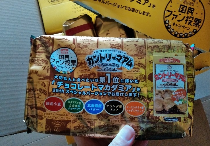 f:id:mamemuchi:20191117102847j:plain