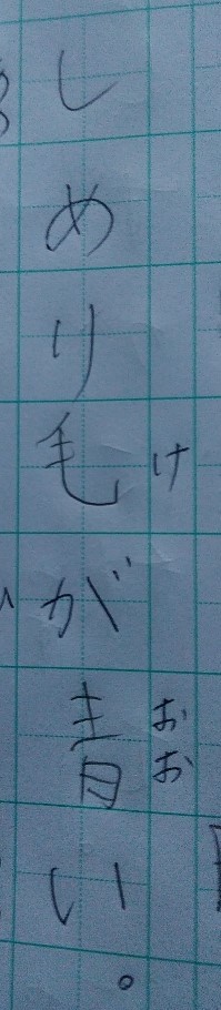 f:id:mamemuchi:20191207142748j:plain