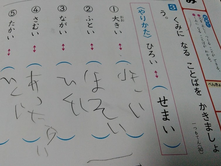 f:id:mamemuchi:20191207143721j:plain
