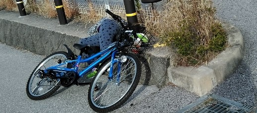 f:id:mamemuchi:20200126181105j:plain f:id:mamemuchi:20200126181105j:plain