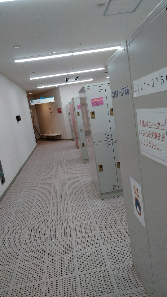 f:id:mamemuchi:20200906161344j:plain