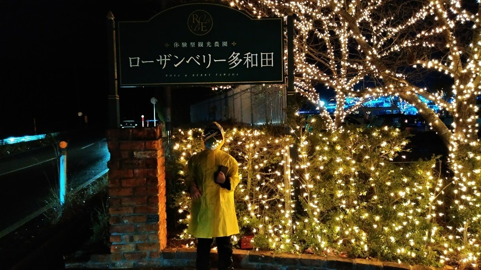 f:id:mamemuchi:20201123104850j:plain