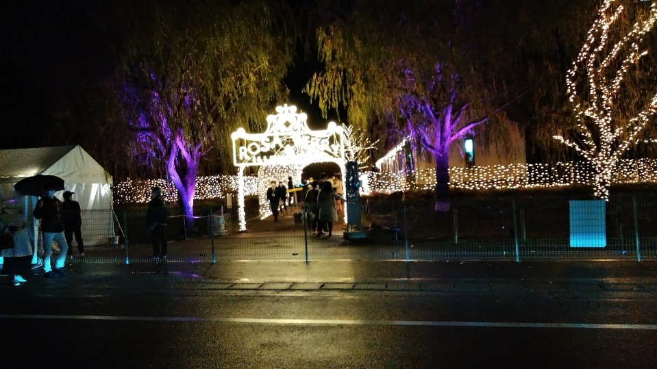 f:id:mamemuchi:20201123104907j:plain