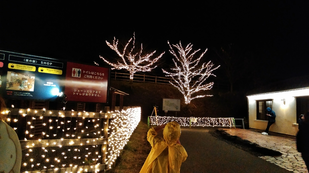 f:id:mamemuchi:20201123105428j:plain
