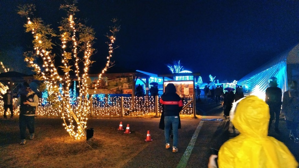 f:id:mamemuchi:20201123105442j:plain