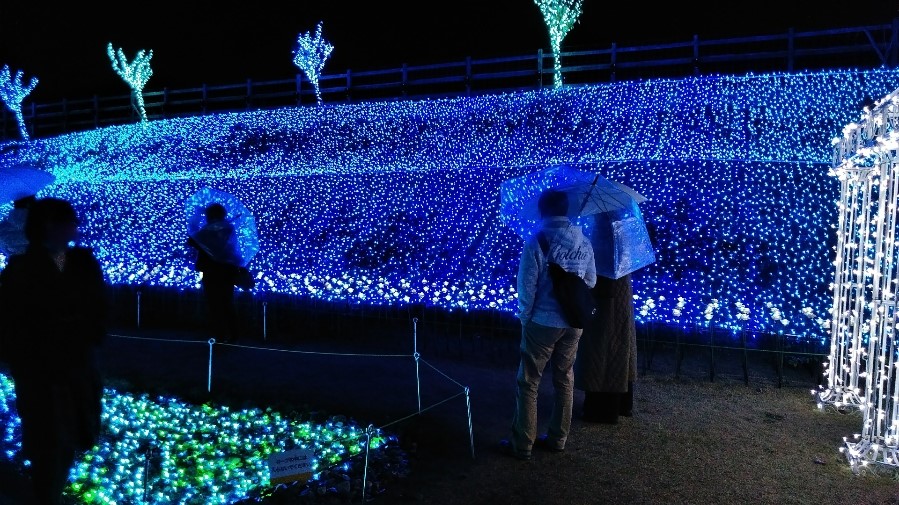 f:id:mamemuchi:20201123110516j:plain