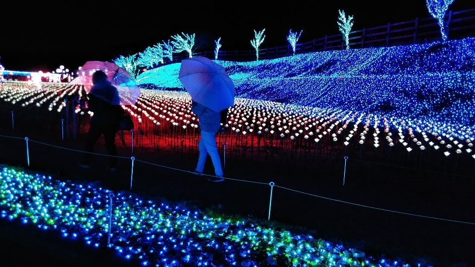f:id:mamemuchi:20201123110549j:plain