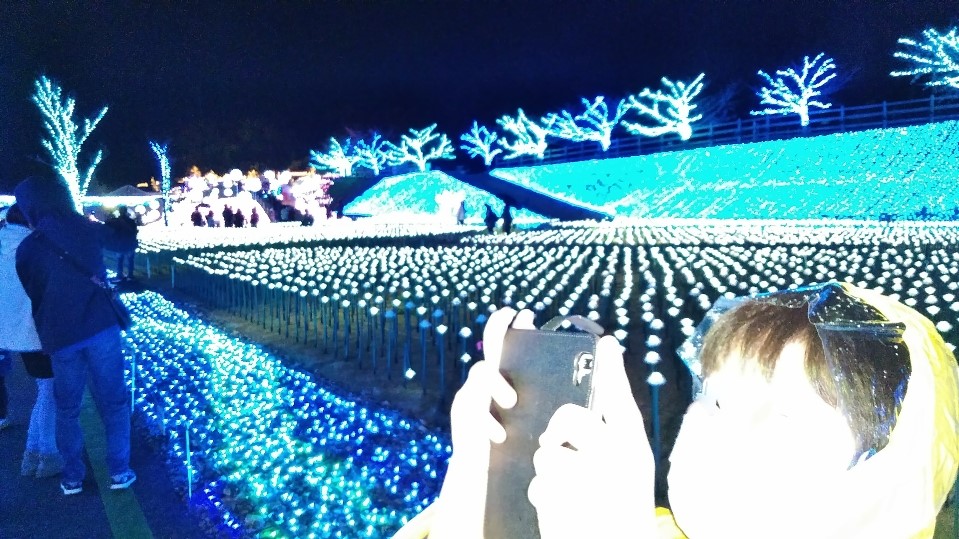 f:id:mamemuchi:20201123110602j:plain