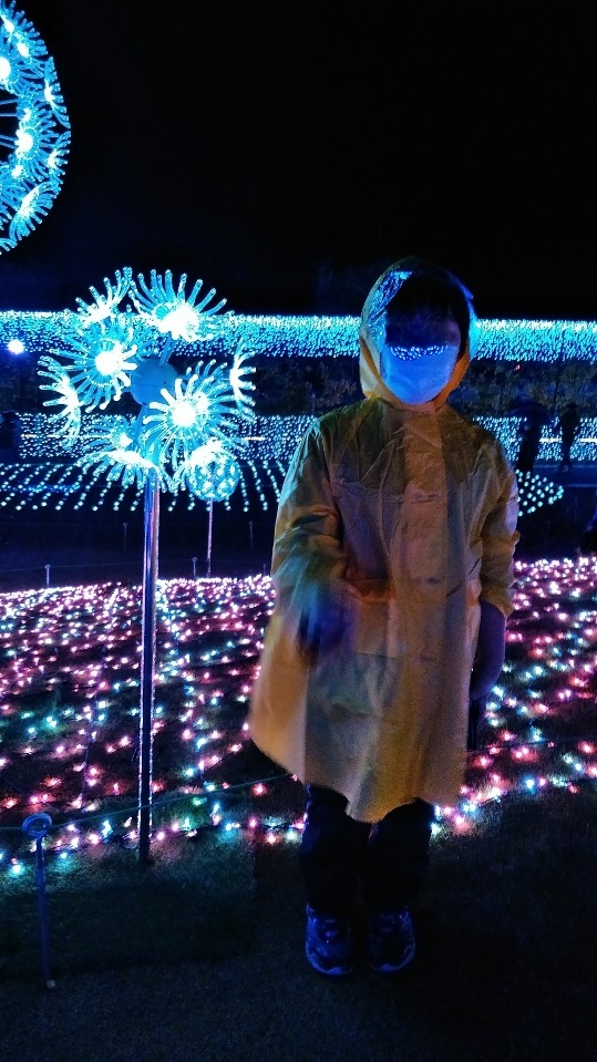 f:id:mamemuchi:20201123111107j:plain