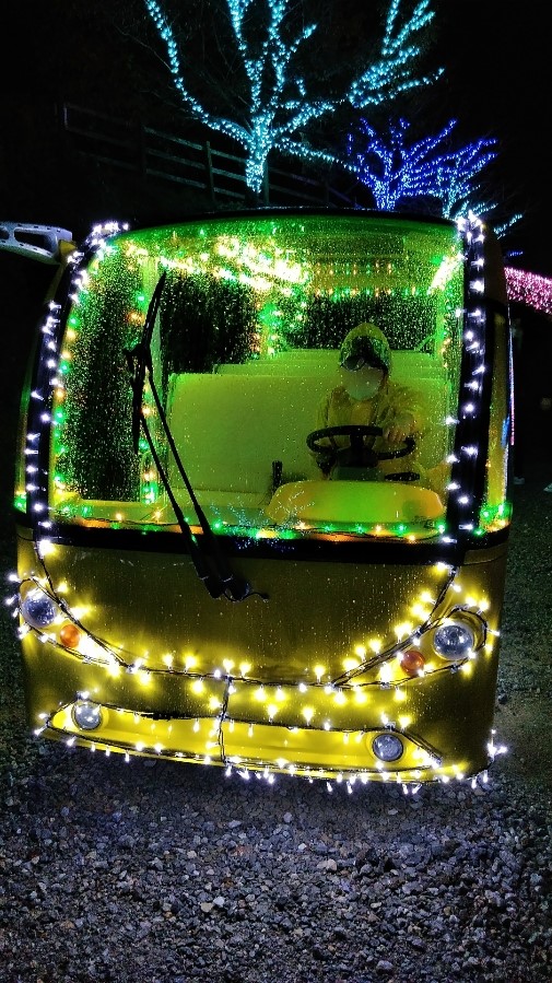 f:id:mamemuchi:20201123111227j:plain