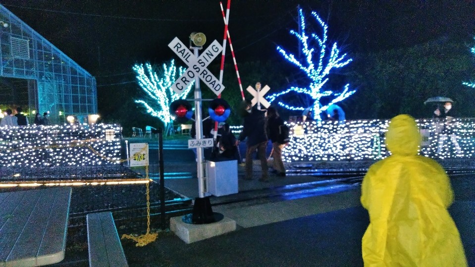 f:id:mamemuchi:20201123111418j:plain