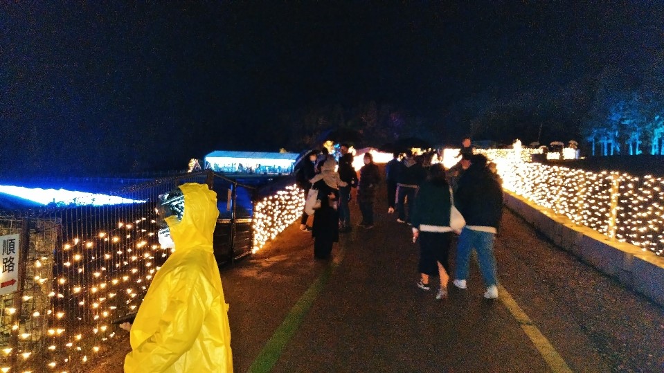 f:id:mamemuchi:20201123115201j:plain