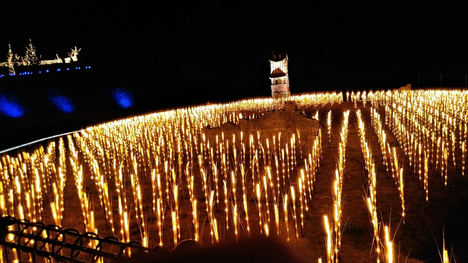 f:id:mamemuchi:20201123115449j:plain