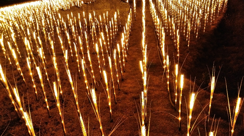 f:id:mamemuchi:20201123115503j:plain