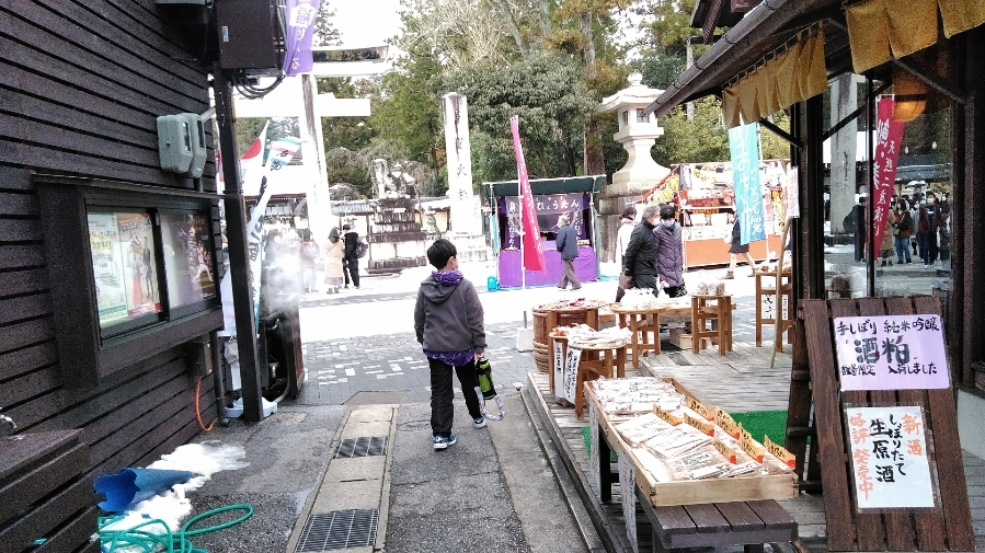 f:id:mamemuchi:20210130133307j:plain
