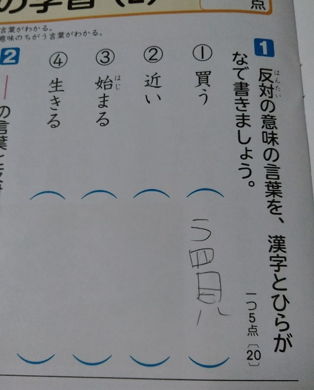 f:id:mamemuchi:20210214103934j:plain