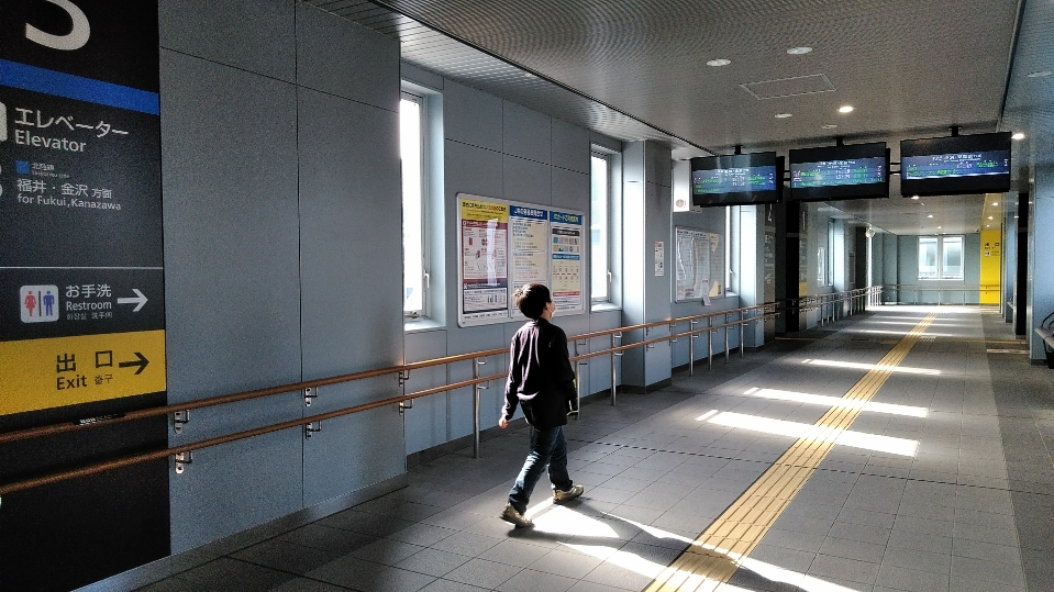 f:id:mamemuchi:20210425091731j:plain