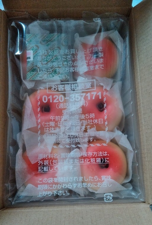 f:id:mamemuchi:20211020165106j:plain