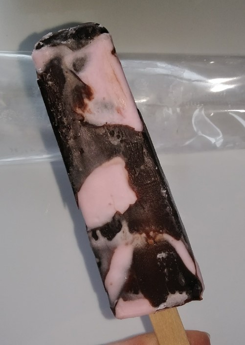 f:id:mamemuchi:20220108141012j:plain