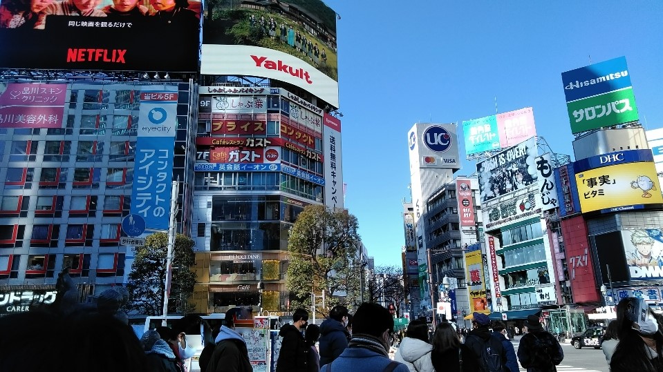 f:id:mamemuchi:20220108143323j:plain