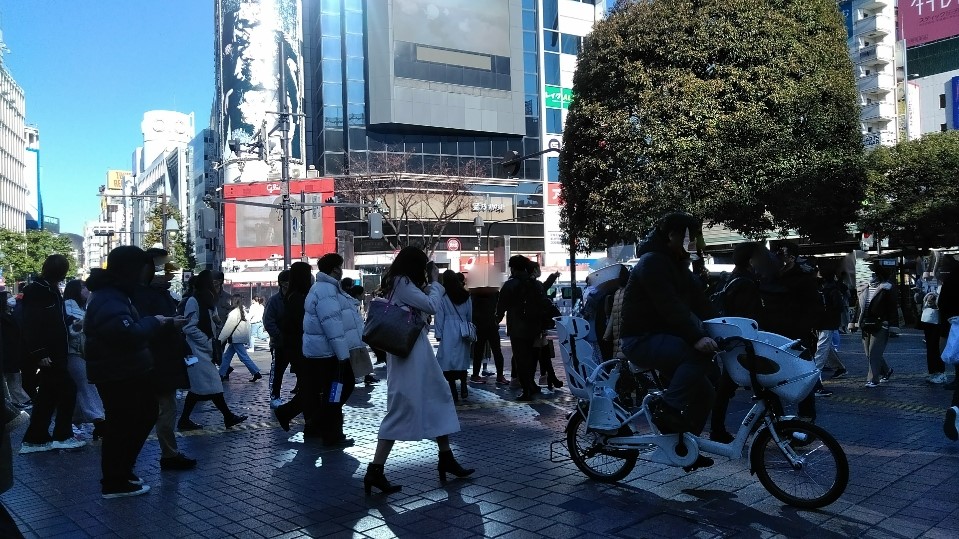 f:id:mamemuchi:20220108143331j:plain