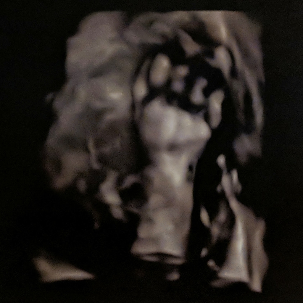 f:id:mamepiro:20190217203402j:plain